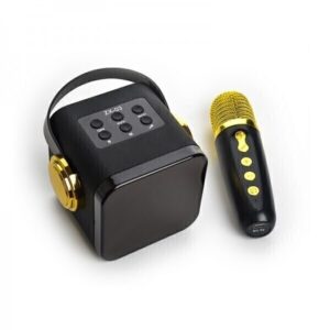خرید اسپیکر قابل حمل مدل ZX-03 کارائوکه | همراه با میکروفون بی‌سیم، بلوتوث، فلش، رم و نور LED | مناسب مهمانی و تمرین خوانندگی
